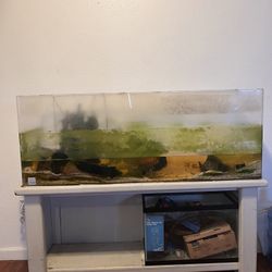 Big Fish Tank 