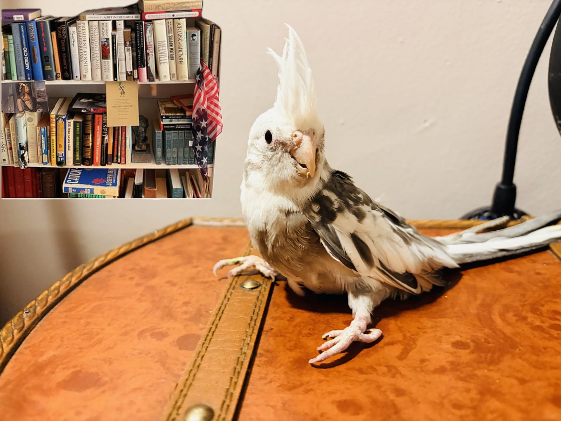 Beautiful Books Available