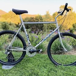 Alan Adventure Vintage Mountain Bike Campagnolo Components 