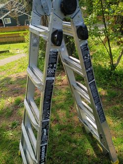 GORILLA  LADDER