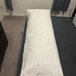 Body Pillow- MUST BE GONE BY 4/17/26