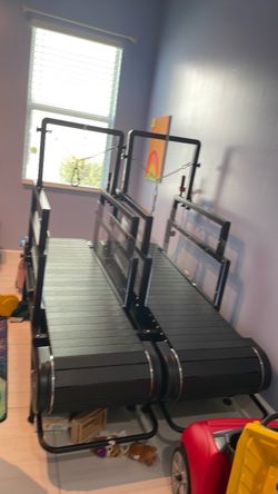 Dog treadmill