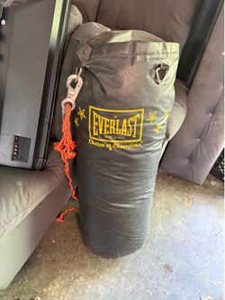 Everlast punching bag