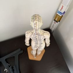 Traditional Chinese Medicine Two Dolls Acupuncture Points And A Ear 