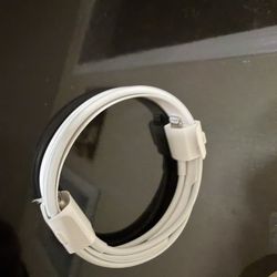 Apple Lightning Cable Charger