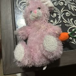 Bunny Stuffed Animal 