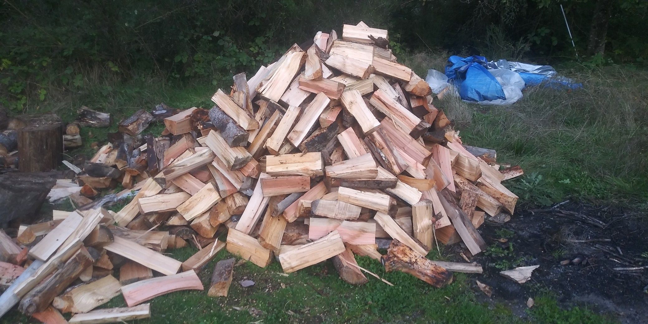 *FIREWOOD** for Sale in Port Orchard, WA OfferUp