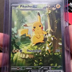 Pikachu EX 276
