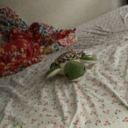 Turtle Plushie 