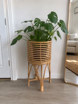 23" Vintage Rattan Plant Stand | Boho Wicker Planter | Natural Decor