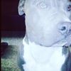 Francine *****check out my offers