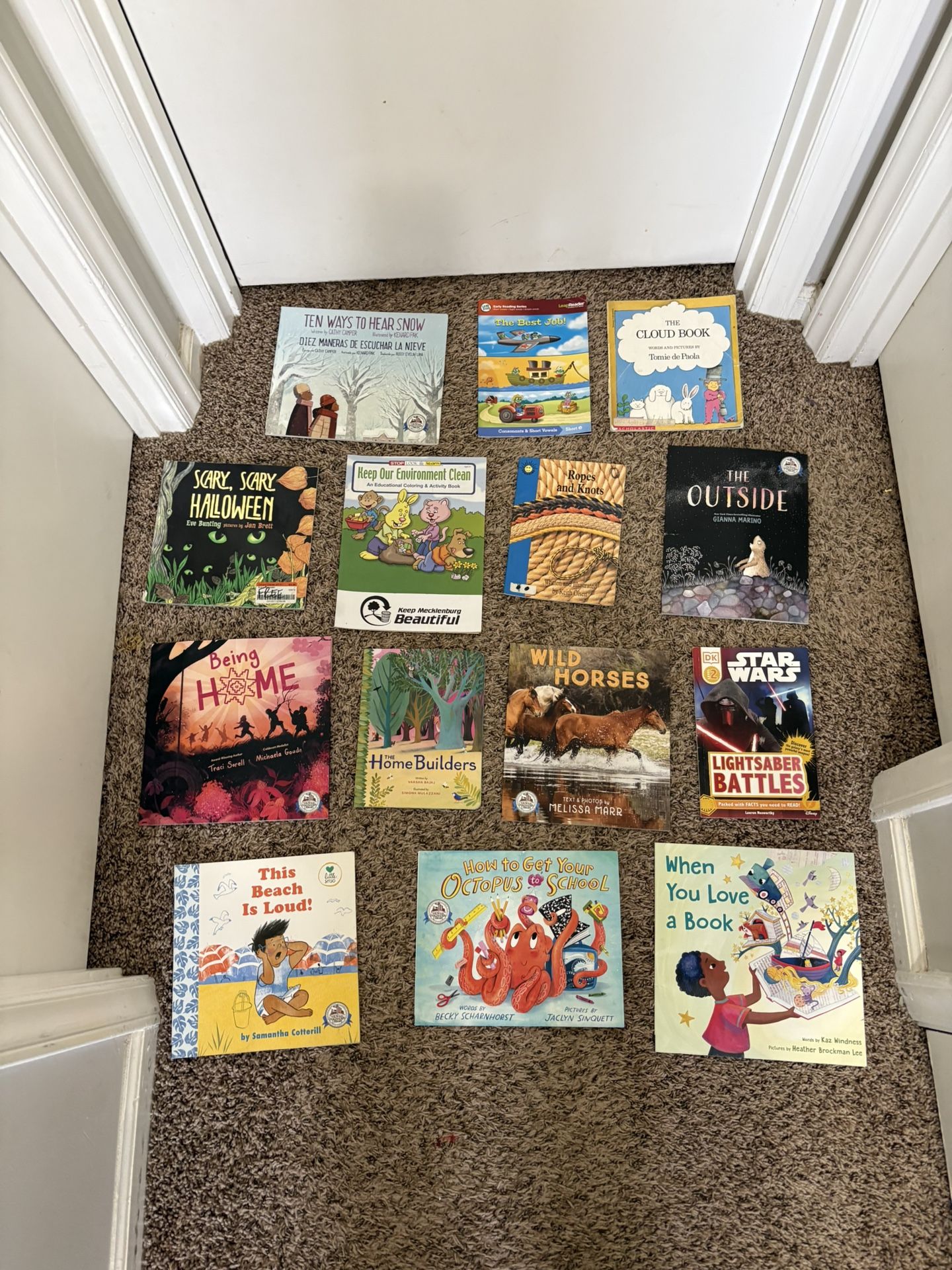 Kids Book Lot