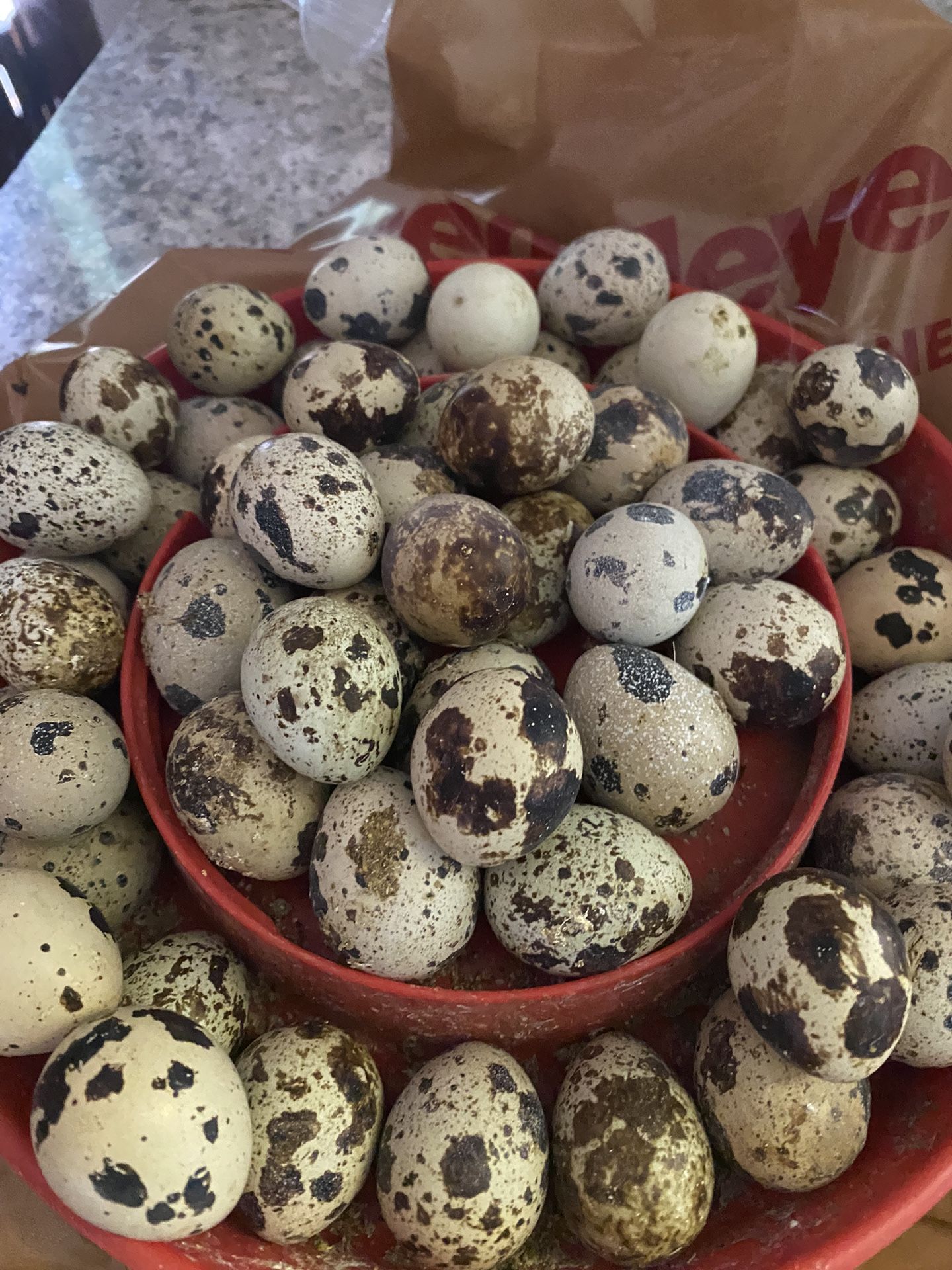 Quail eggs