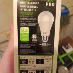 Smart light bulb