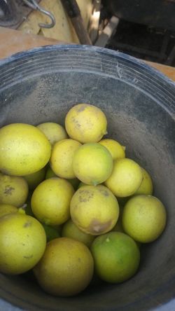 Lemons