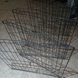 Dog Fence