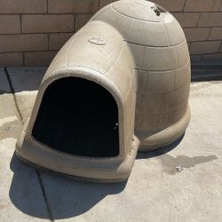 Dog House