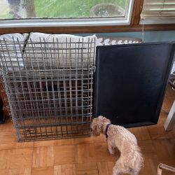 Dog Cage 