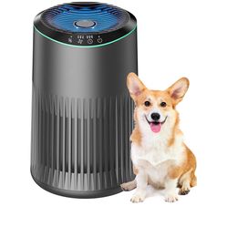 Air Purifiers for Bedroom Home, 