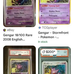 Lacey Persian260ex Gengar Ex. 110