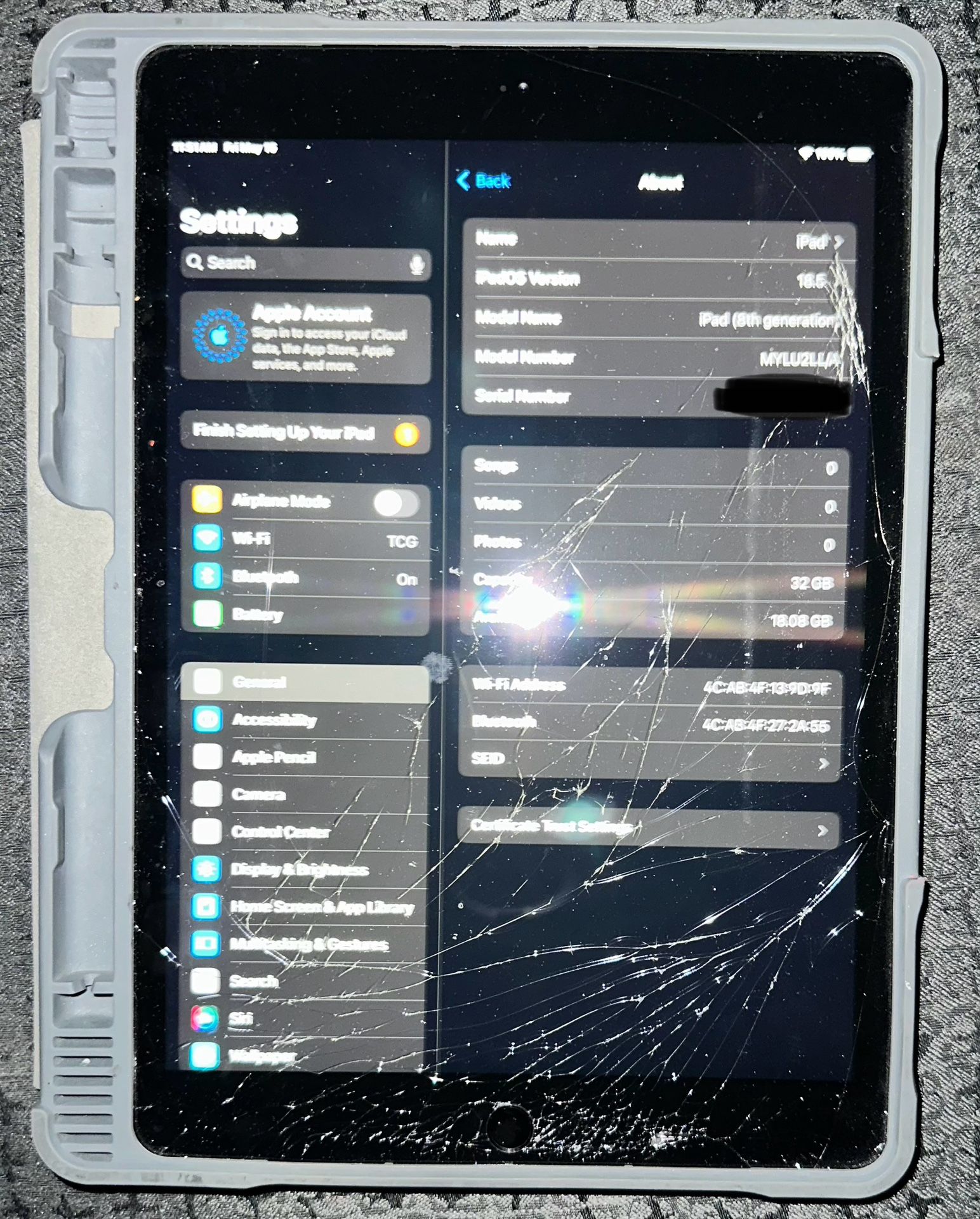 Apple iPad