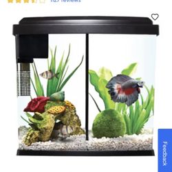 Fish Tank