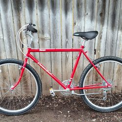 86' Restoration Diamond Back Ascent
