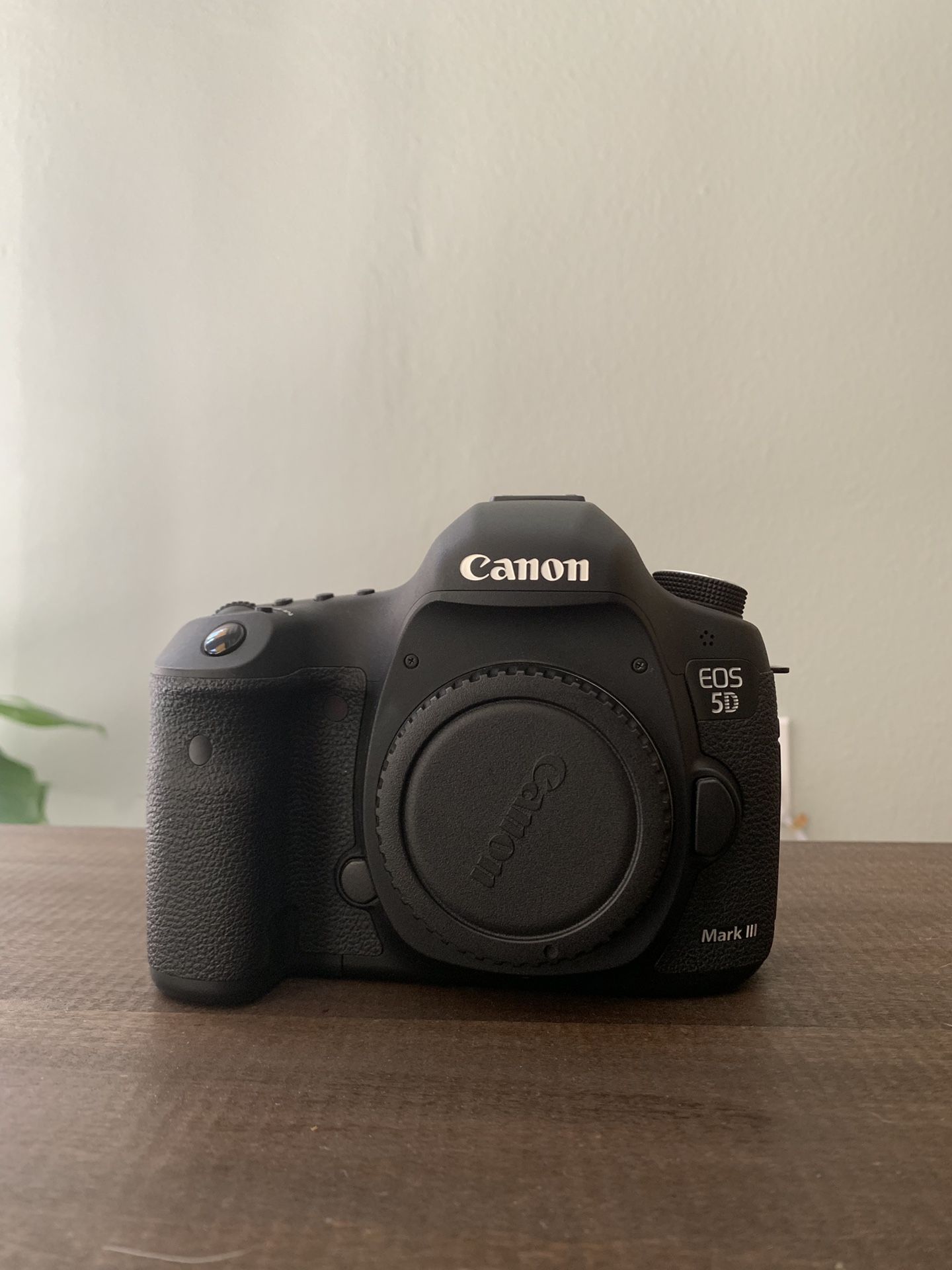 Canon 5d Mark III w/ 2 lenses and battery + charger
