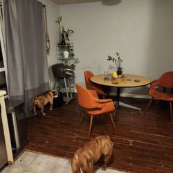 Vintage (‘70s) Herman Miller Eames Work * Dining * 48” Round Table * Kitchen 