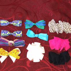 Girls Hair Bows Lot