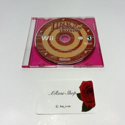 Nintendo Wii Link’s Crossbow Training Video Game