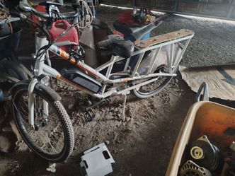 Rad Power Bikes RadWagon Electric Cargo Bike