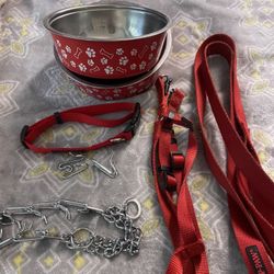 Large Dog Leash, Collars, Harness, Bowls & Costume