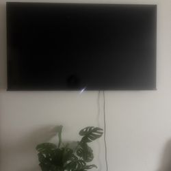 50inch