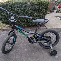 Trek Kids Bike