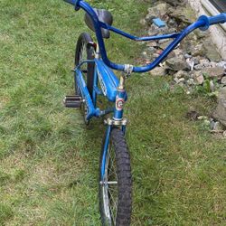 Vintage Bike