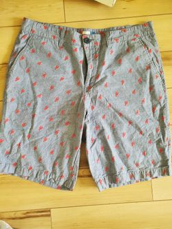 New Without Tags Men's Shorts 36