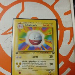Electrode Miss Print 1st Edition