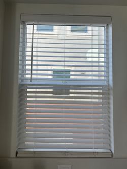 Levolor cordless blinds 34WX64L