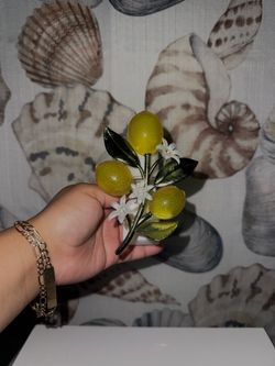 Lemon wallflower plug