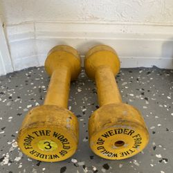 3LB Dumbbells The Pair Located In Kendall 