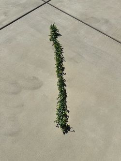 Artificial Greenery Garland