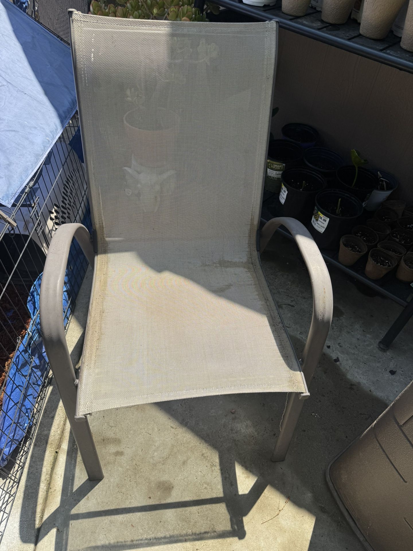 Patio Chair