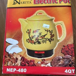 Electric Pot Water Heater 