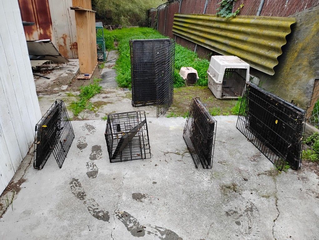 2 Medium And 1 Small Dog Crates Used 15.00 Ea 