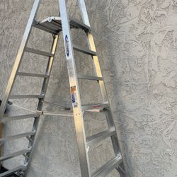 Werner Type 1A Aluminum Dual Access Platform Ladder w/ Casters