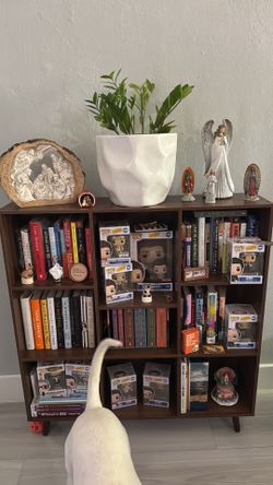 Bookcase - Walnut