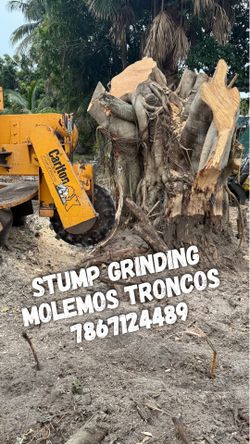 Carlton Stump Grinder