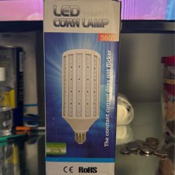 Corn Lamp