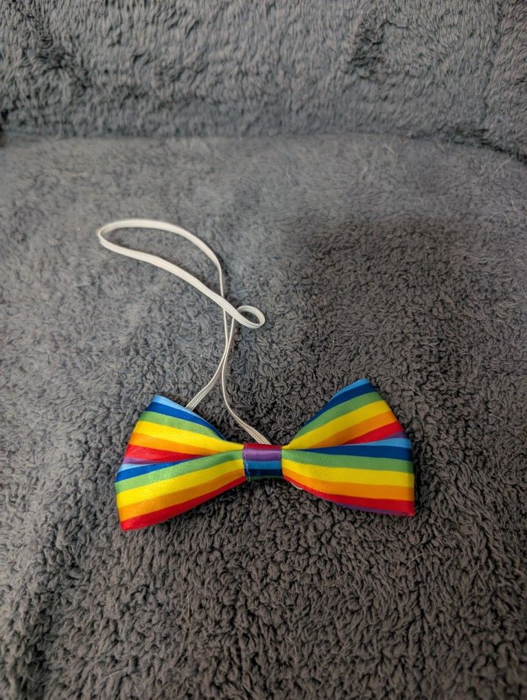 Rainbow Costume Accessories